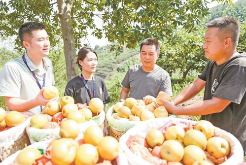 廣安“三端協(xié)同”發(fā)力，讓“廣字號”初級農(nóng)產(chǎn)品走向廣闊市場