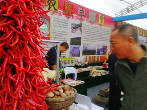 銅川2018扶貧產(chǎn)品交易會 初級農(nóng)產(chǎn)品精品薈萃，看點亮眼搶先揭秘